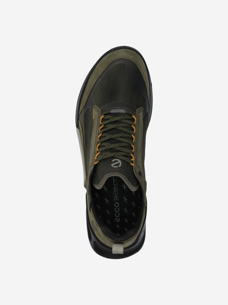 Кроссовки мужские Ecco Biom 2.1 X Mountain