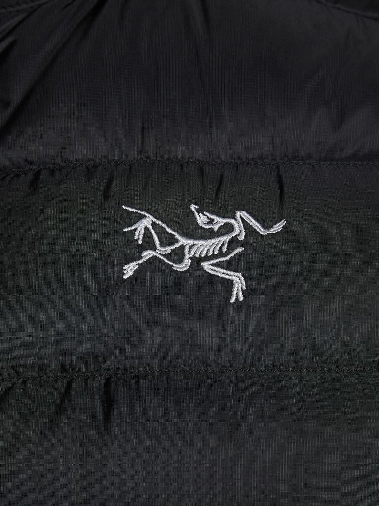 Жилет утепленный мужской Arc'teryx Cerium