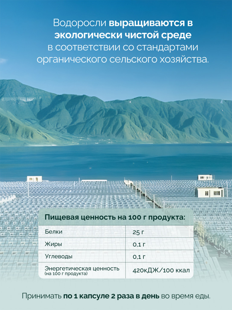 Спирулина и хлорелла MedCraft, 60 капс.