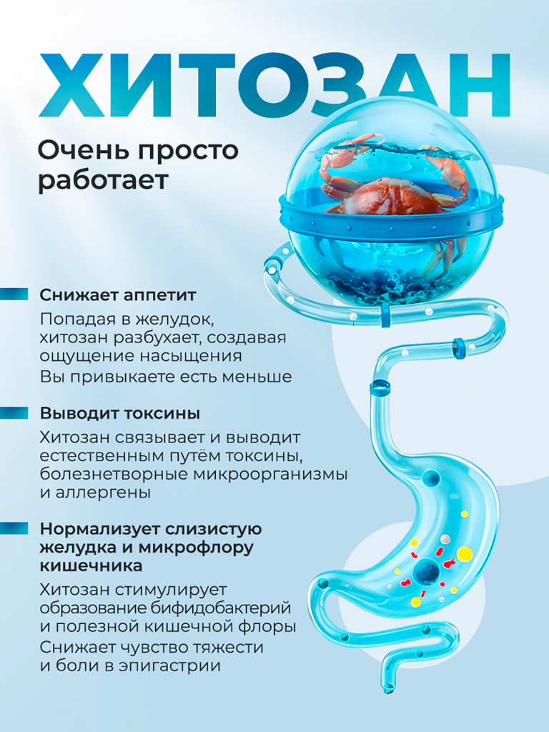 Хитозан 100% таблетки для похудения, жиросжигатель, блокатор калорий, 60 капсул / Доктор Море
