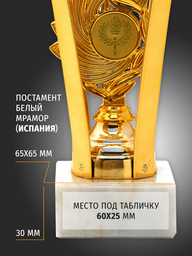 Спортивный кубок для награждения победителя 28.5 см