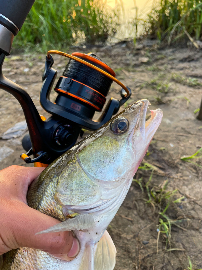 Катушка карповая с байтраннером Волжанка Карп Мастер 3000