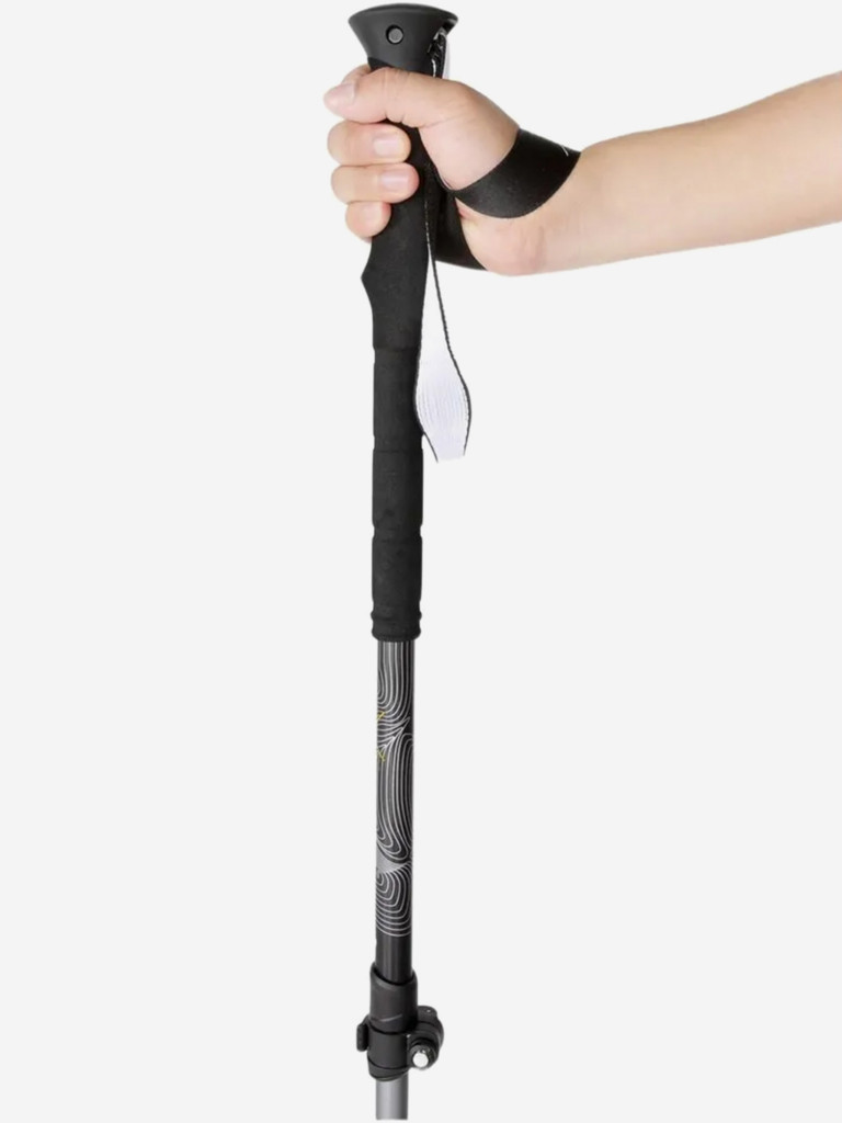 Палки для трекинга Talberg EXPEDITION, 64-135 см, 2 шт, цвет: черный