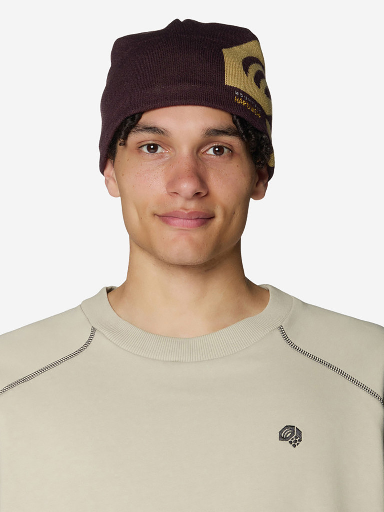 Шапка Mountain Hardwear Caelum Dome