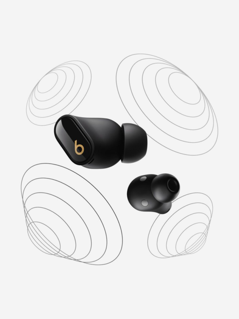 Беспроводные наушники Beats Studio Buds + (TWS)