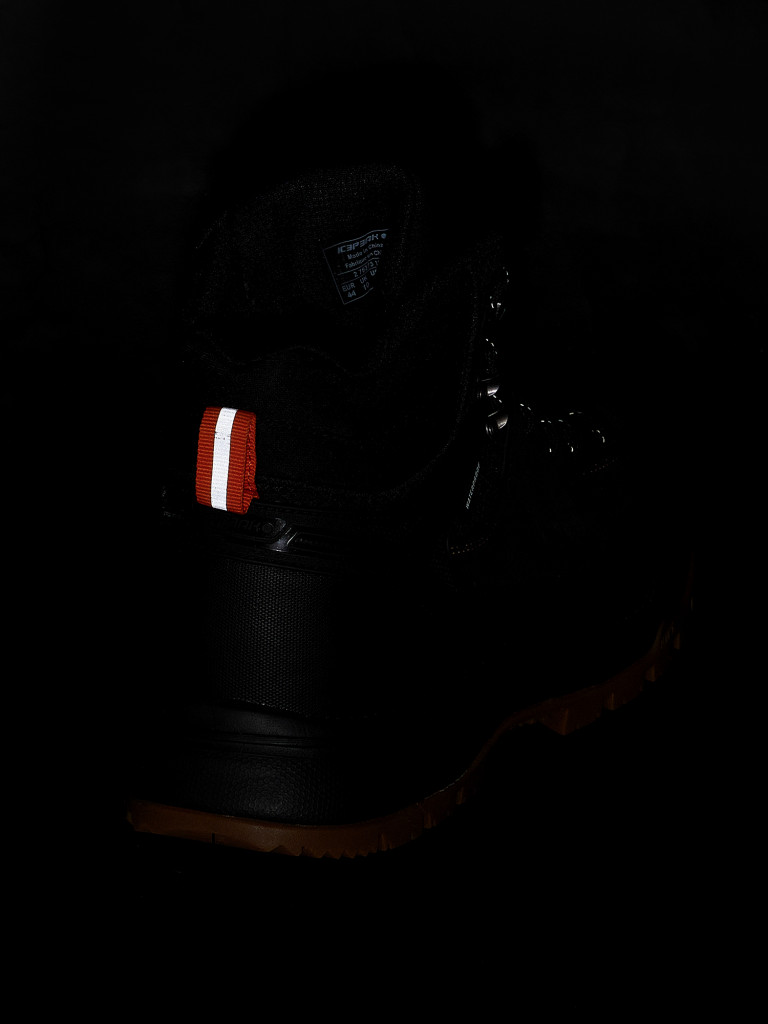 Ботинки мужские IcePeak Abaco Mr