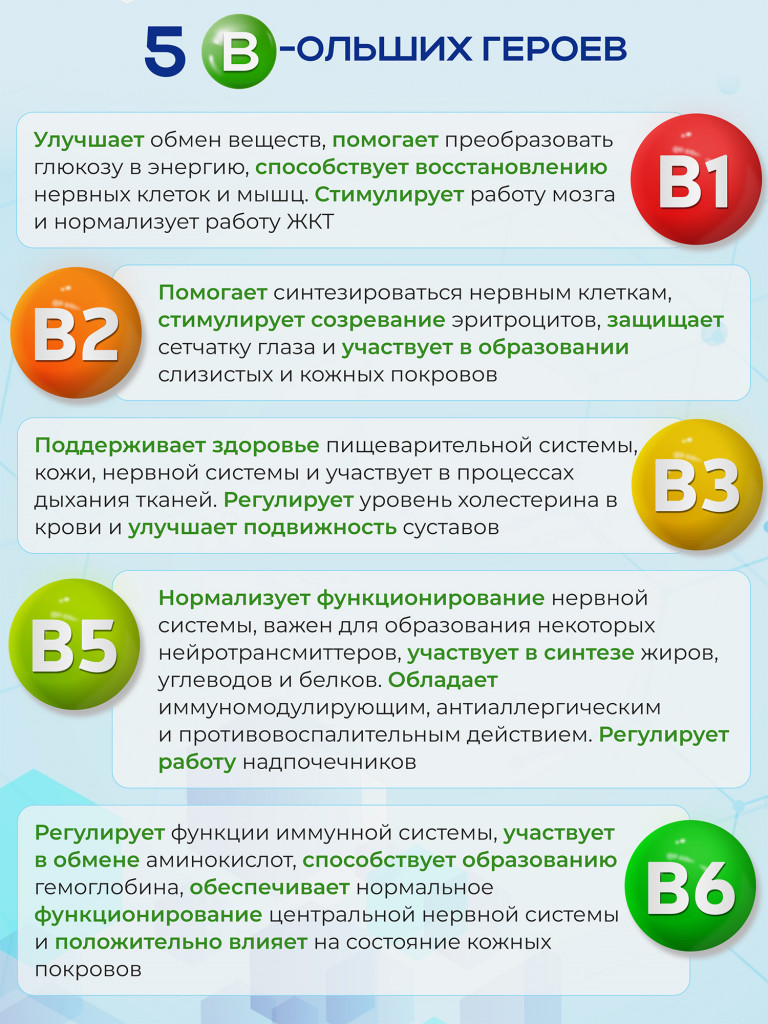 Витамины группы B, комплекс витаминов b, B1B12, БАД, 60 капсул / Доктор Море