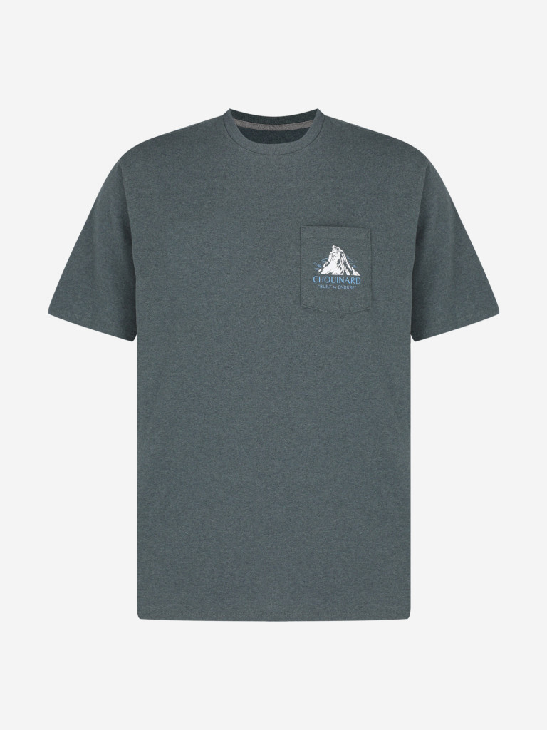Футболка мужская Patagonia Chouinard Crest