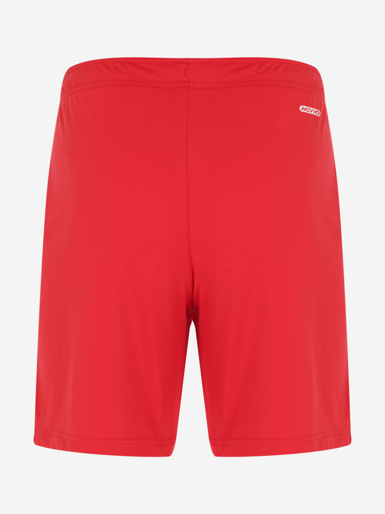 Шорты мужские Demix Legacy