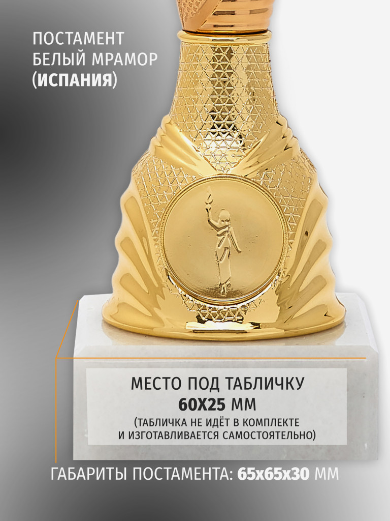 Кубок спортивный для награждения победителей 28 см бронзовый