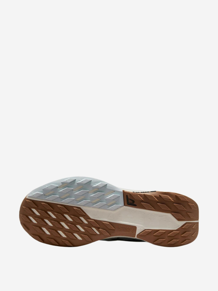 Кроссовки Nike Pegasus Trail 5