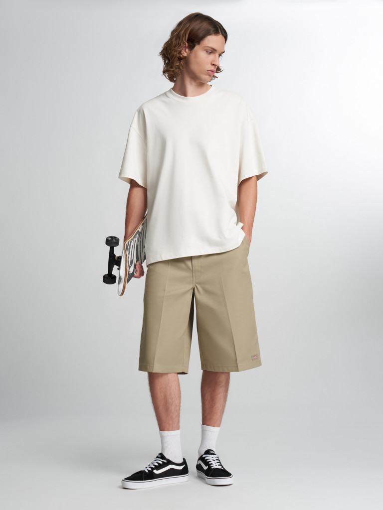 Шорты мужские DICKIES 13 In Mlt Pkt W/St