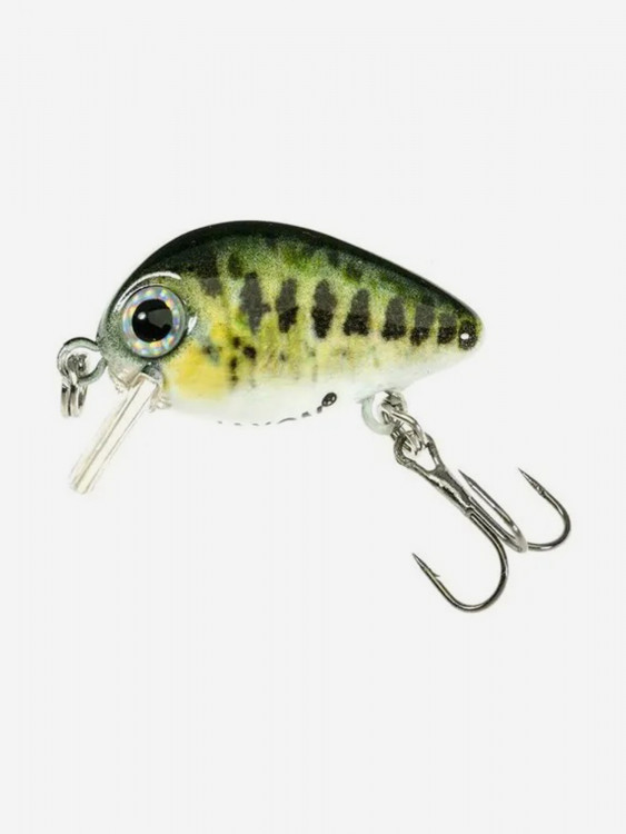 Воблер на окуня, щуку, голавля для рыбалки Jaxon Atract Pixel #B плавающий 25 мм ультралайт / воблер жук мини