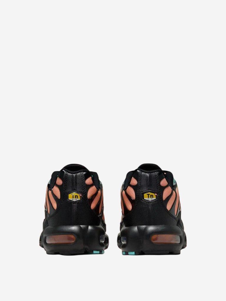 Кроссовки Nike Air Max Plus