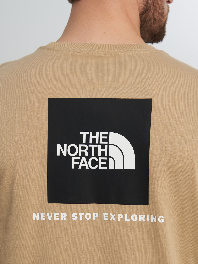 Футболка мужская The North Face Evolution