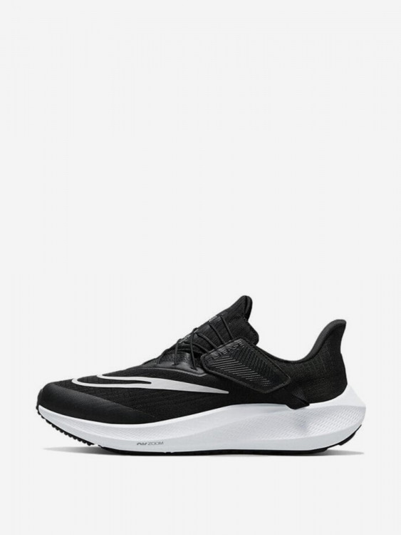 Кроссовки Nike Air Zoom Pegasus 39 FlyEase