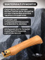 олива