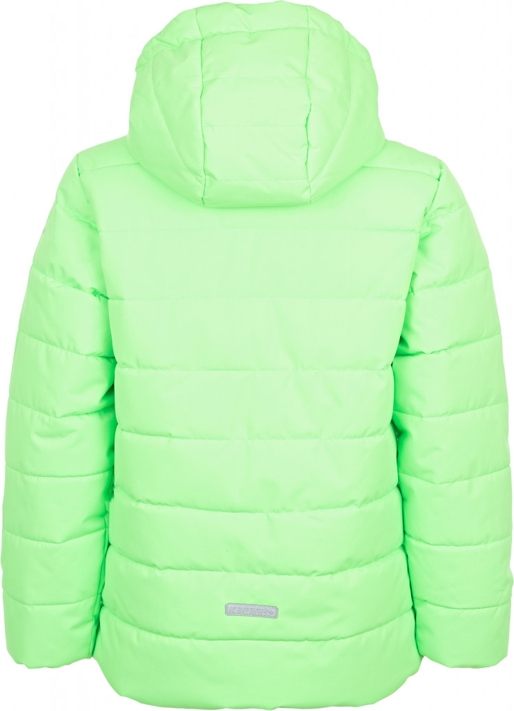 Пуховик для мальчиков IcePeak Rasi