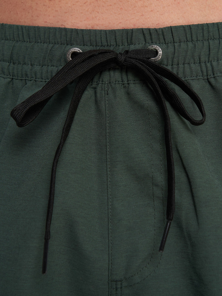 Шорты плавательные мужские Quiksilver Everyday Volley 15