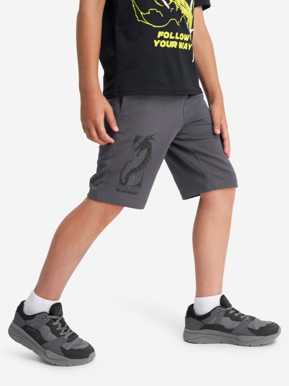 Шорты для мальчиков Demix