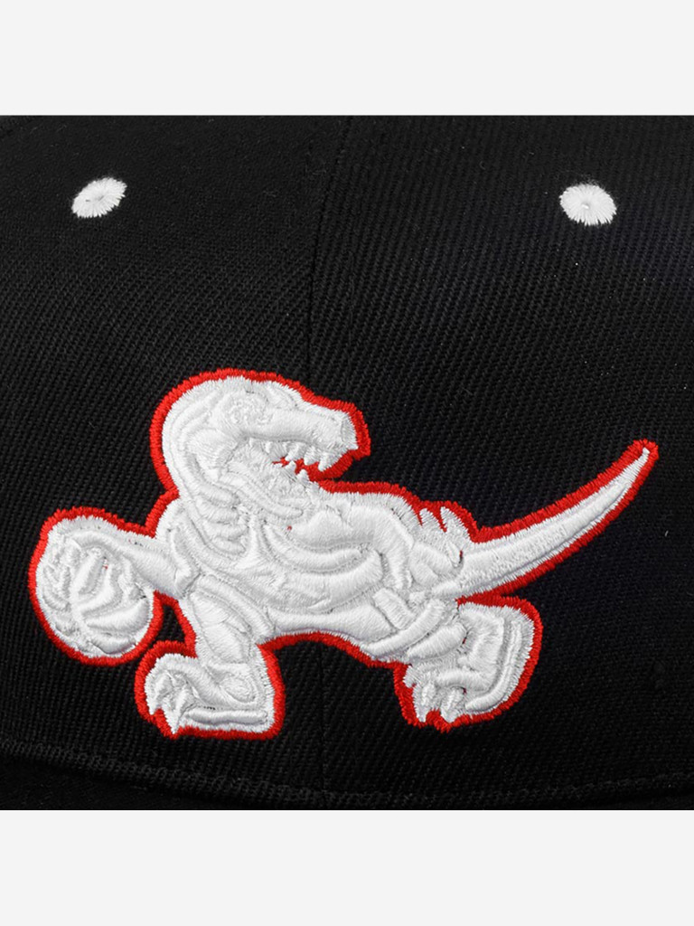 Бейсболка с прямым козырьком MITCHELL NESS 6HSSMM20253-TRABLCK Toronto Raptors NBA