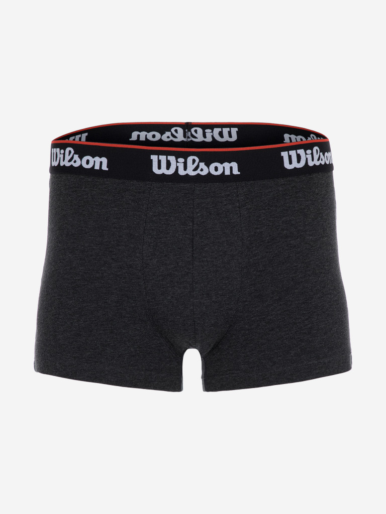 Трусы мужские Wilson, 2 штуки