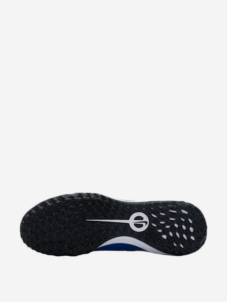 Сороконожки Nike Tiempo Legend 10 Pro TF