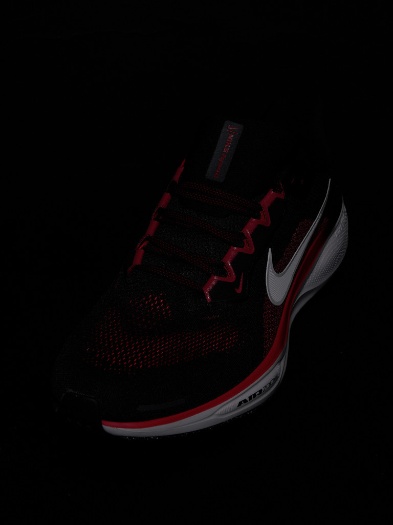 Кроссовки мужские Nike Pegasus 41