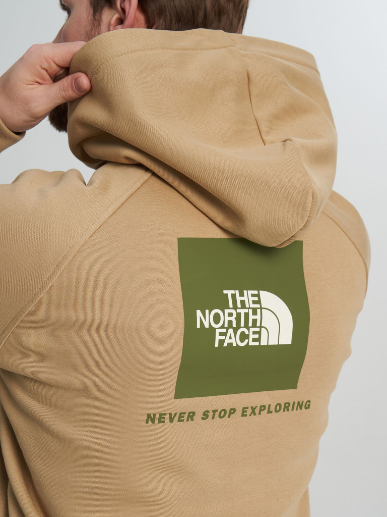 Худи мужское The North Face