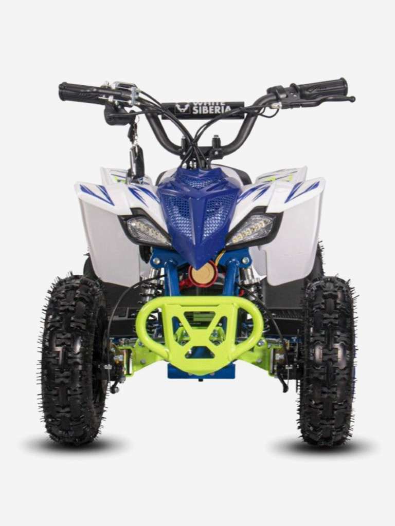 Детский электроквадроцикл White Siberia Sneg Leto R 1000W 36V 12Ah синий