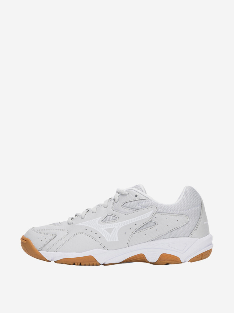 Кроссовки мужские Mizuno Sky Blaster