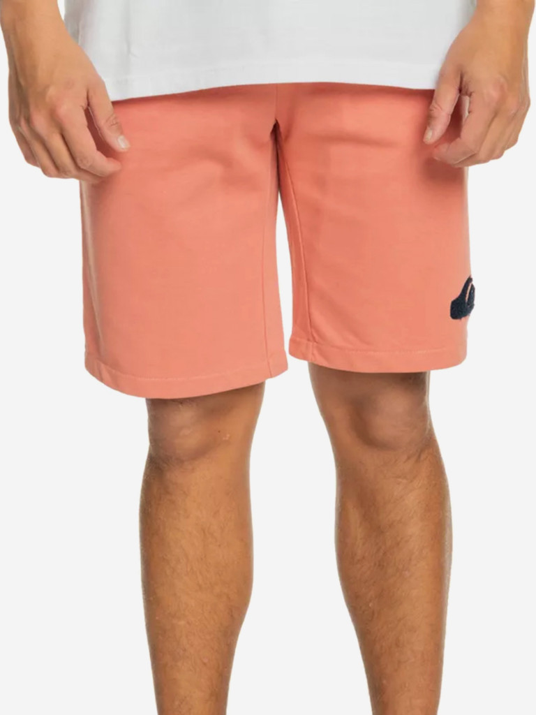 Шорты мужские QUIKSILVER Solid Volley