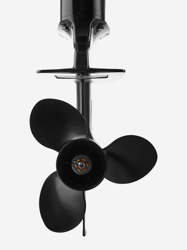 Лодочный мотор Фрегат 9.9FHS двухтактный