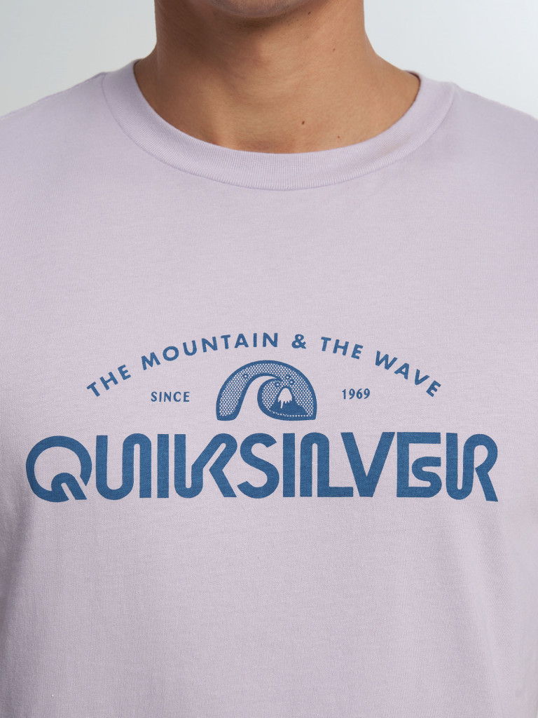 Футболка мужская Quiksilver Ev Vista