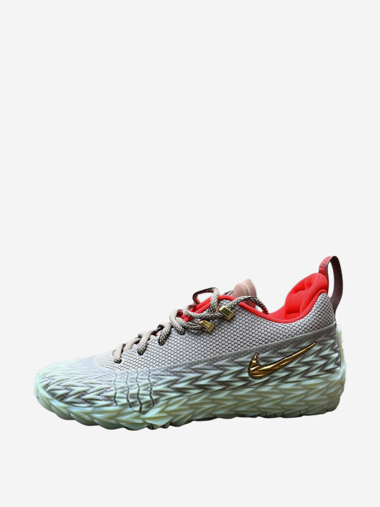 Кроссовки Nike S.T. Charge EP