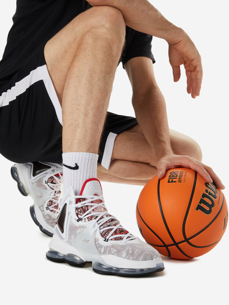 Кроссовки мужские Nike Lebron XIX