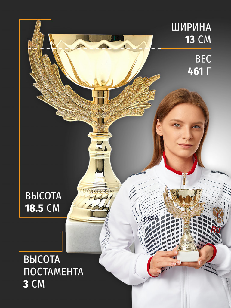 Спортивный кубок для награждения победителя 21.5 см