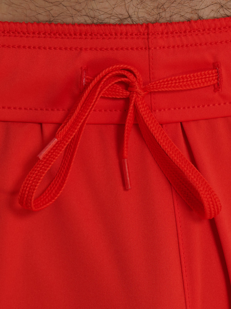 Шорты мужские Demix Matchday