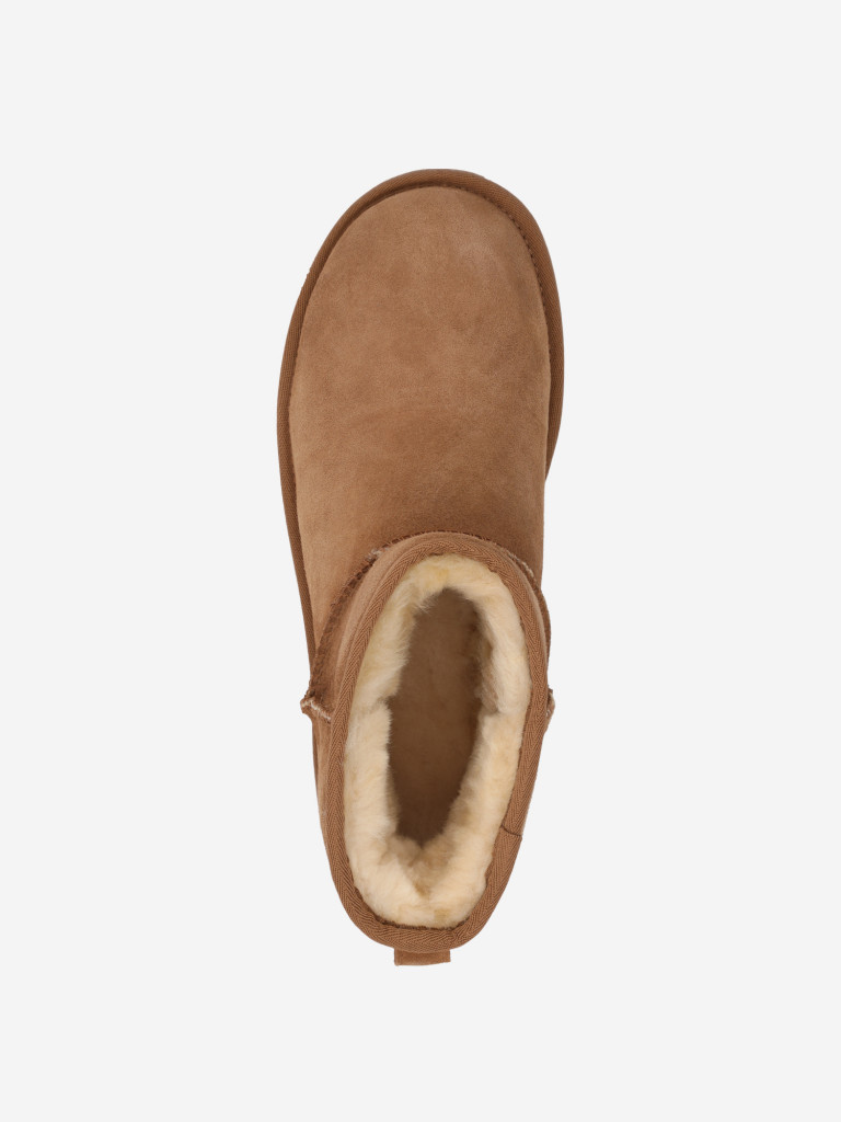 Угги женские UGG Classic Mini II