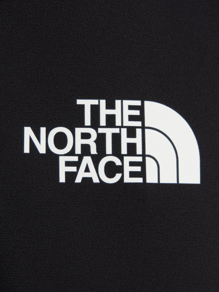 Брюки мужские The North Face M Diablo Reg