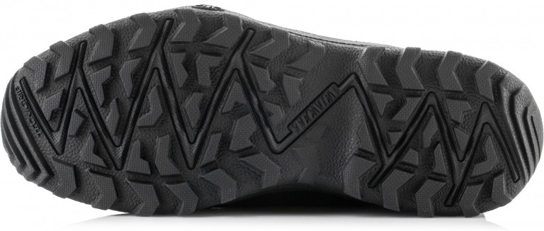 Сапоги утепленные мужские Tecnica Iceway Iii Gtx