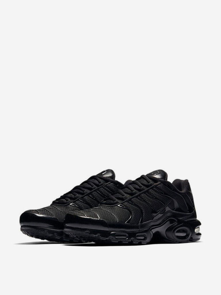 Кроссовки Nike Air Max Plus