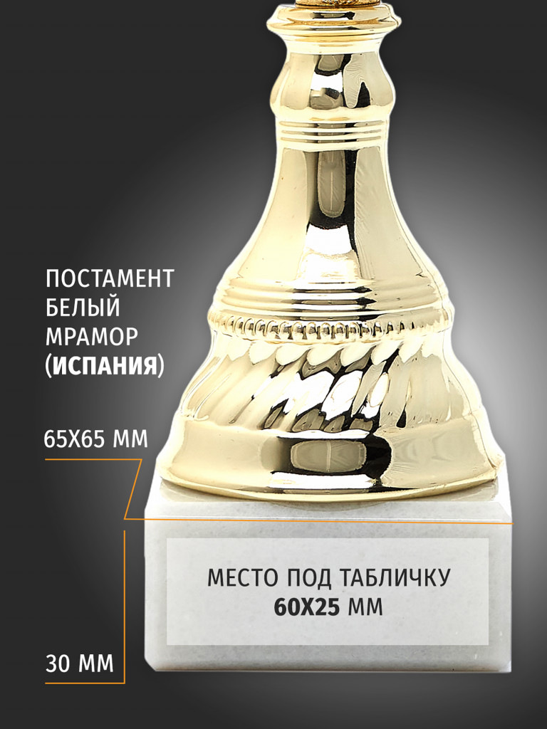 Спортивный кубок для награждения победителя 21.5 см