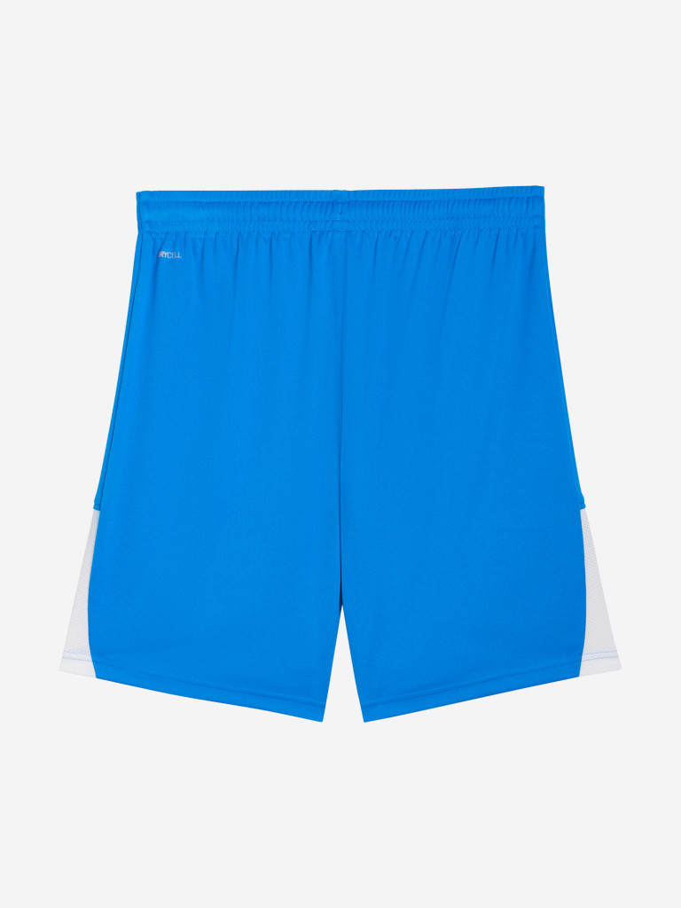 Шорты мужские PUMA Teamliga26