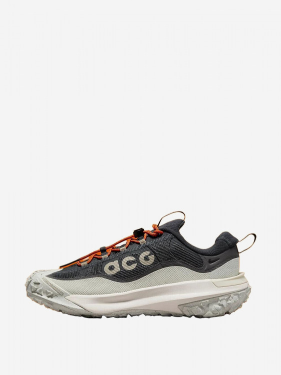 Кроссовки Nike ACG Mountain Fly 2 Low GORE-TEX Dark Smoke Grey