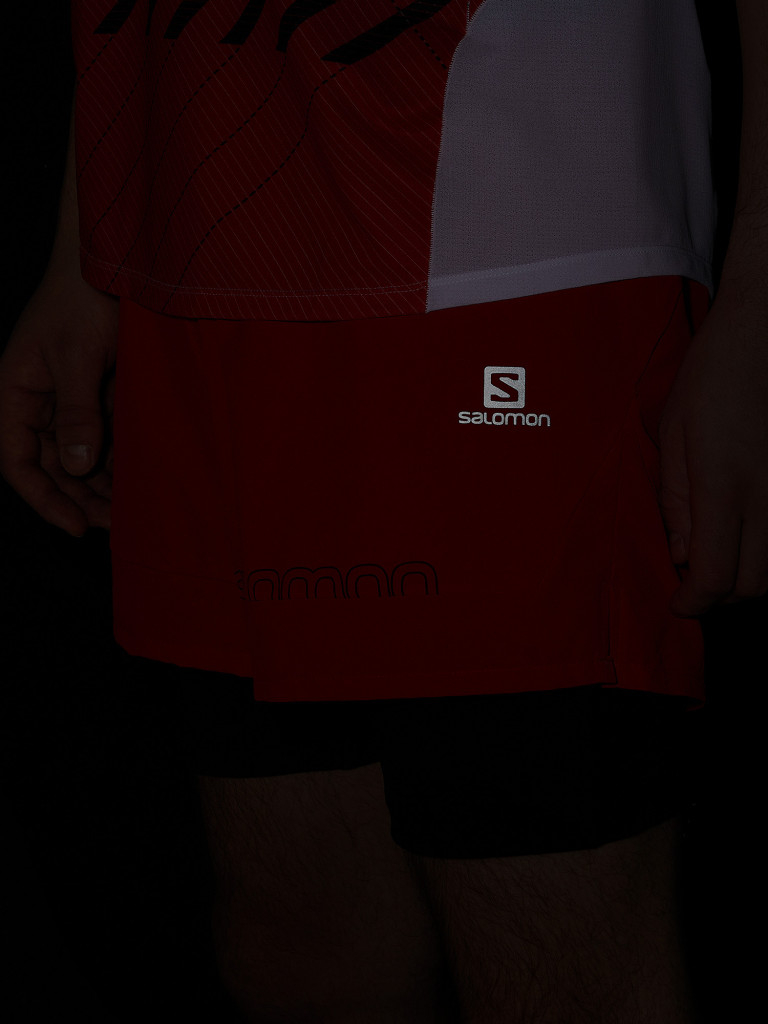 Шорты мужские Salomon Cross 2In1