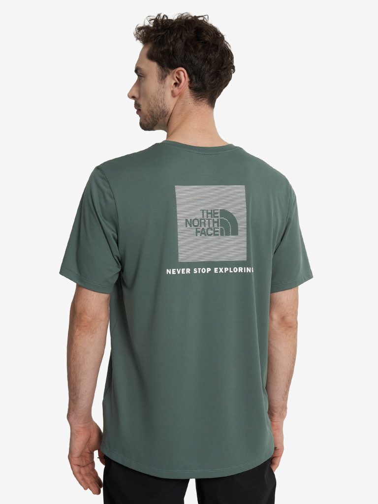 Футболка мужская The North Face Box Nse