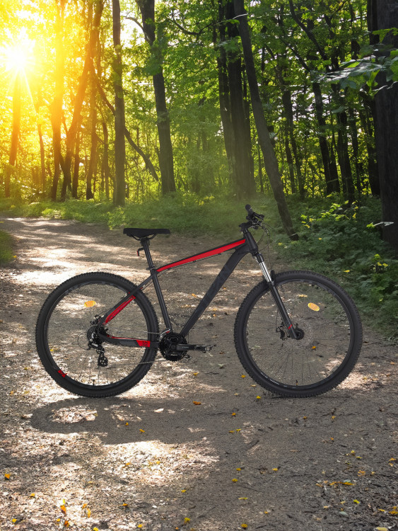 Велосипед горный Stern Force 1.0 29" 2024