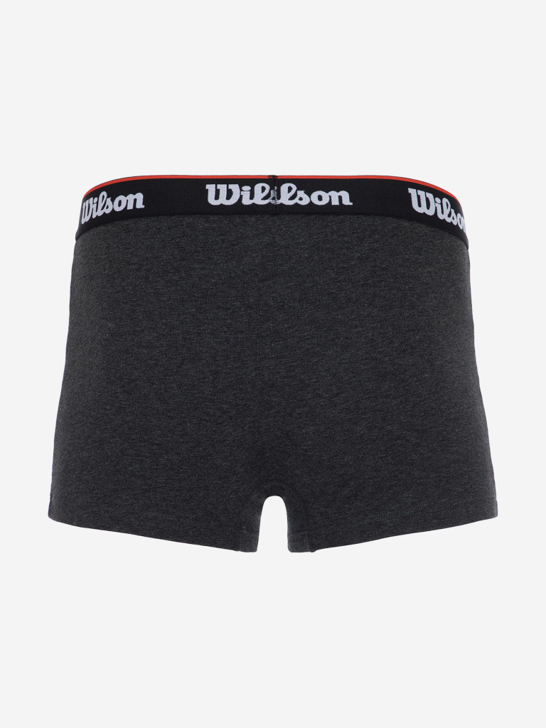 Трусы мужские Wilson, 2 штуки