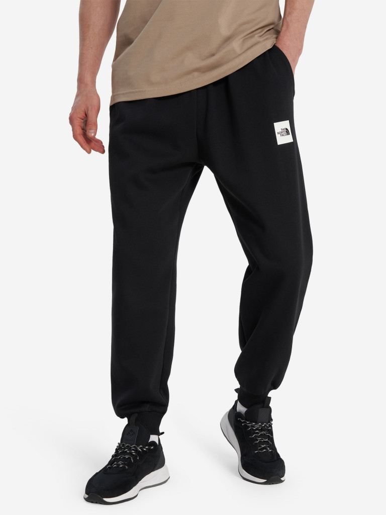 Брюки мужские The North Face Fine